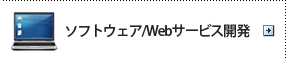 ソフトウェア/Webシステム開発